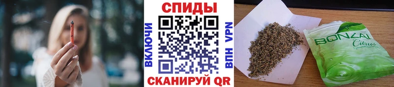 Купить  Сураж  БУТИРАТ бутик 