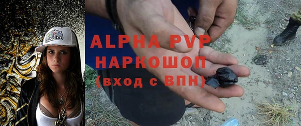 эйфоретик Аркадак