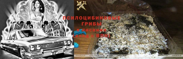 эйфоретик Аркадак
