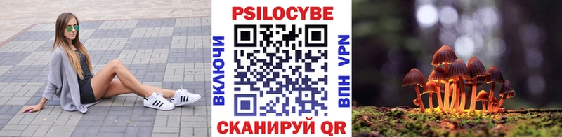 Галлюциногенные грибы Magic Shrooms  Купить  Сураж 