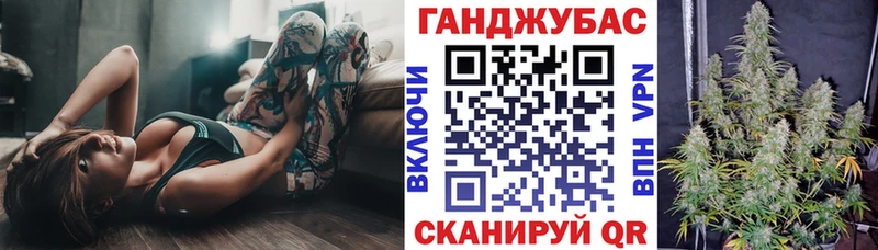 Купить  Сураж  Каннабис планчик 